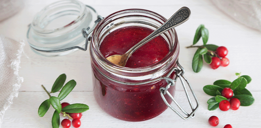 Pyure Cranberry Sauce - Pyure