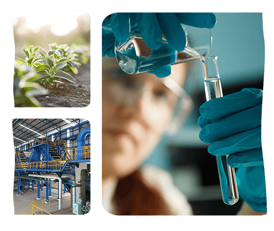Pyure Organic Commercial Ingredients trusted by brands to sweeten they're products.