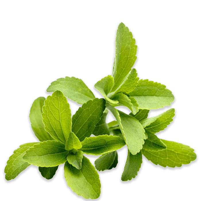 Stevia Leaf. Pyure Organic Stevia Sweeteners are all natural and vegan and come from the stevia plant.