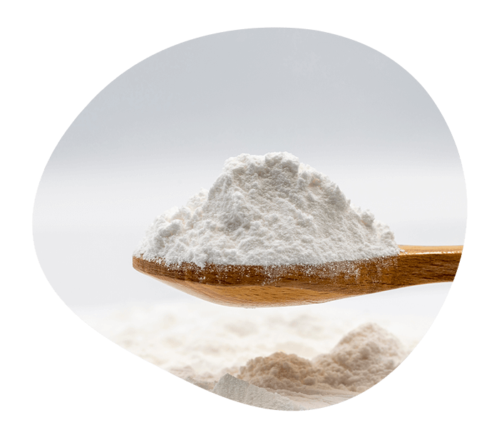 Erythritol sweetener powder on spoon. Pyure Organic Erythritol available to buy in-stores and for wholesale. 