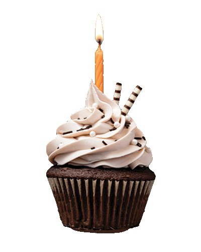 sugar free cupcake with candle