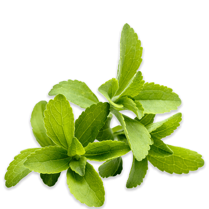 Stevia Leaf.  Pyure Organic Stevia Sweeteners are all natural and vegan and come from the stevia plant. 