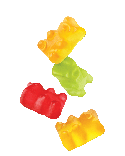 sugar free gummie bears